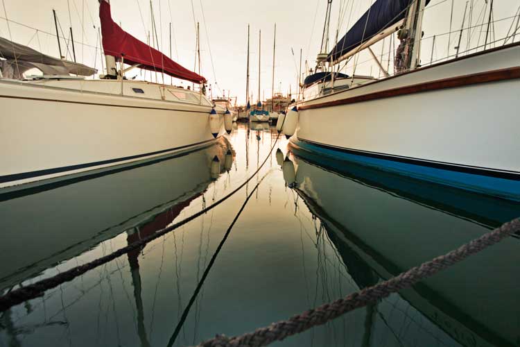 yachts in harbor