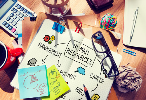 human resource manager desk with planning diagram